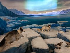 -陕西自然博物馆