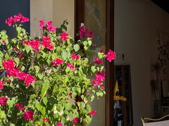 -seeu coffee(江滩店)