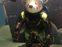 -成都泰迪熊博物馆