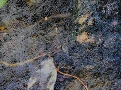 -维乐口腔医院(福清院)