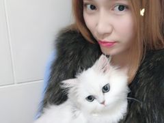 -瑞派天宁宠物医院·猫科·异宠中心