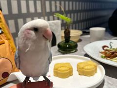 -陶兰居·手工点心·粤菜(圆融时代广场店)