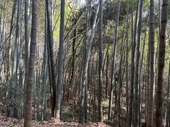 -敬亭山风景名胜区