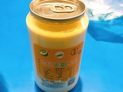 -德禄酸奶(莫家街店)