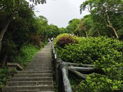 -梧桐山风景名胜区