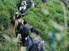 -午潮山国家森林公园