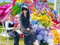 -杭州湾海上花田景区