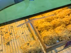 -五道口枣糕王(成府路店)