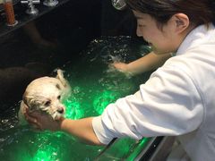 -宠爱国际动物医院·消化内科·心肾内科·ISFM猫友好(望京店)