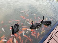 -春晖园度假酒店温泉