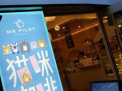 门面-飞行喵MR PILOT|猫舍·猫咖(静安大融城店)