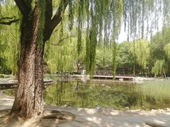 -玲珑塔公园