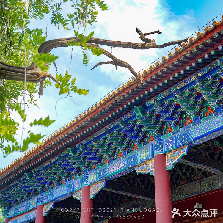 北京小众打卡，故宫后边有一座国子监