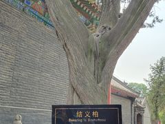 -关林