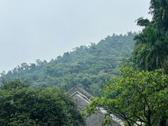 -鼎湖山风景区