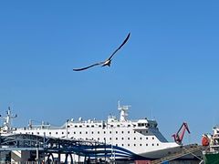 -海驴岛(荣成市)