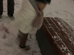 -绿野森林乐园冰雪季