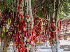 -白帝城·瞿塘峡景区