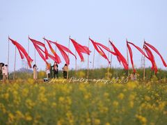 -光明小镇欢乐田园