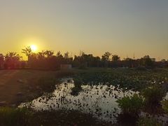 -澹台湖公园