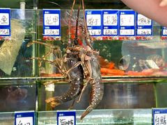-荣基四海一家·家常菜·海鲜大排档(新安店)