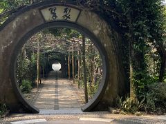 -广西壮族自治区药用植物园