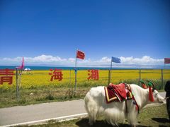 -青海湖国家重点风景名胜区