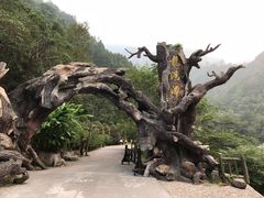 -楠溪江风景名胜区