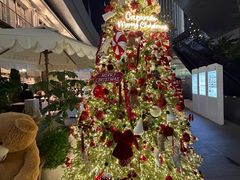 -深圳湾万象城(南山店)