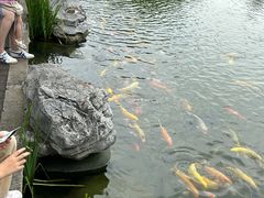 -扬州瘦西湖温泉