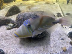 -海合安天津极地海洋公园