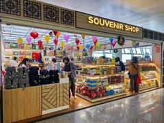 -河内内排国际机场