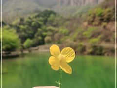 -青龙山生态文化旅游区
