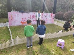 -金鸡湖桃花岛
