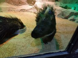 -酷嗒动物文化乐园(cutezoo西溪乐天城店)