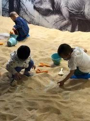 -恐龙探索乐园(磁器口店)