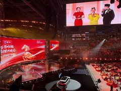 -深圳市体育中心体育馆主馆