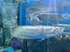 -石林冰雪海洋世界