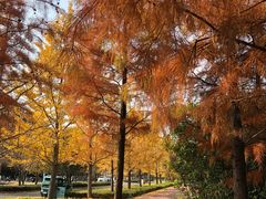 -山东科技大学（青岛校区）-图书馆