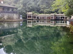 -云南屏边大围山国家公园