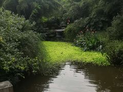 -龙头寺公园