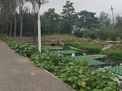 -东郊湿地公园