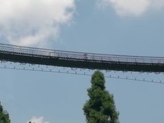 -娄山关景区