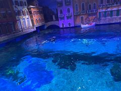 -华夏文旅海洋公园