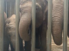 -石家庄市动物园