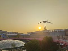 -马小毛老上海里脊肉(南翔印象城店)