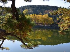 -庐山风景区花径公园
