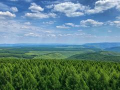 -塞罕坝国家级自然保护区