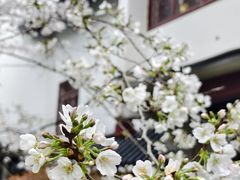 -堤角公园