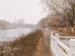 -桃花堤公园